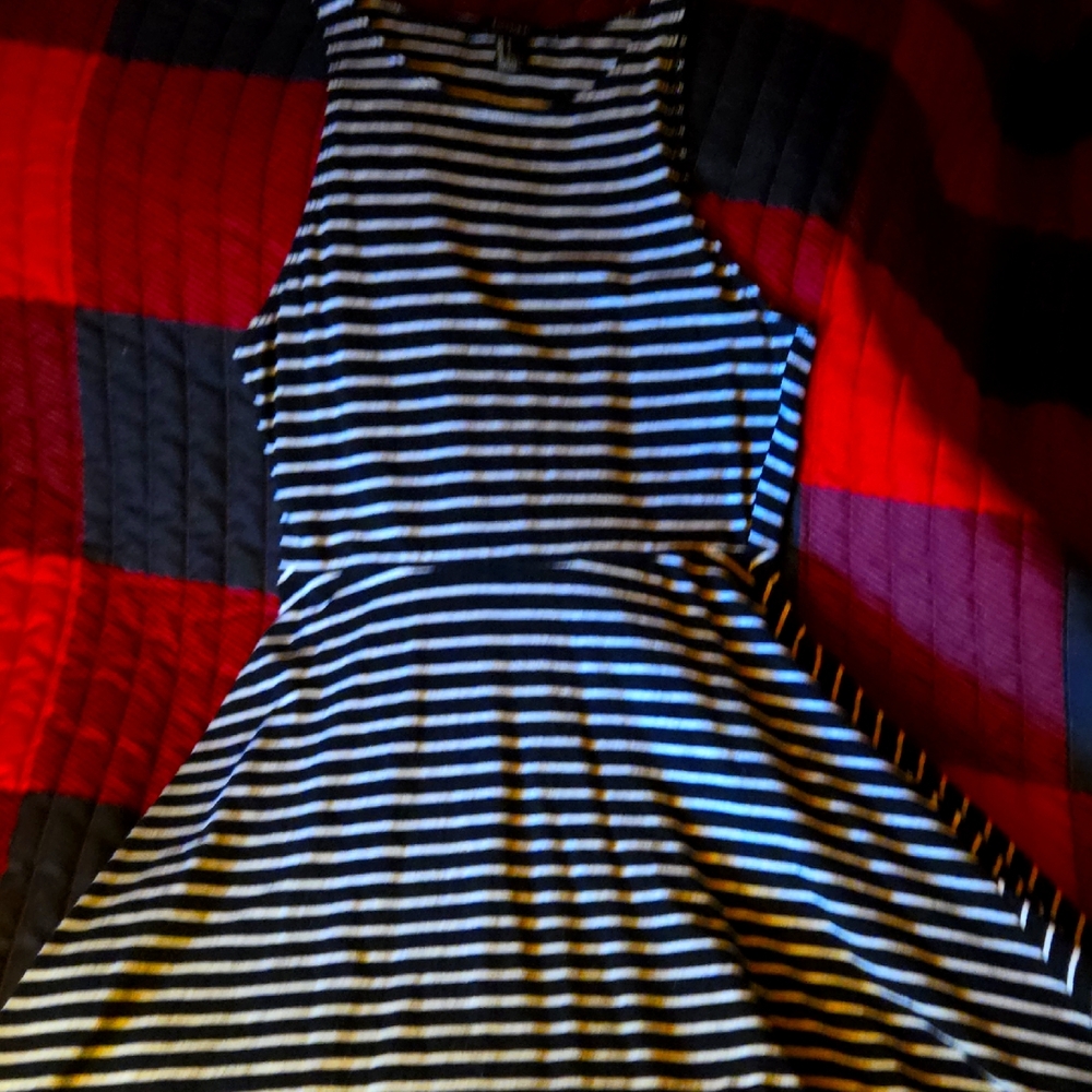 Forever 21 Sleeveless Cotton Dress